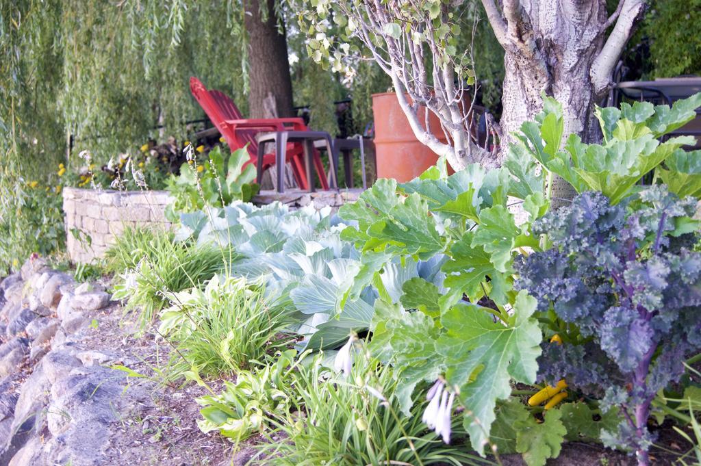 La Belle Aux Berges Bed & Breakfast Saint-Denis-sur-Richelieu ภายนอก รูปภาพ