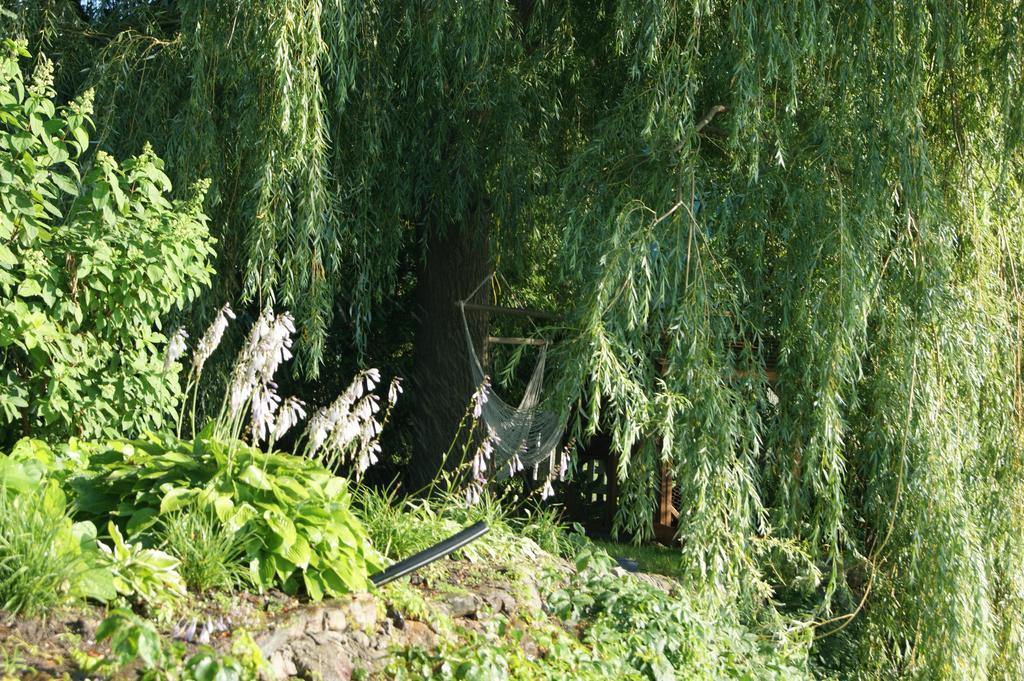 La Belle Aux Berges Bed & Breakfast Saint-Denis-sur-Richelieu ภายนอก รูปภาพ