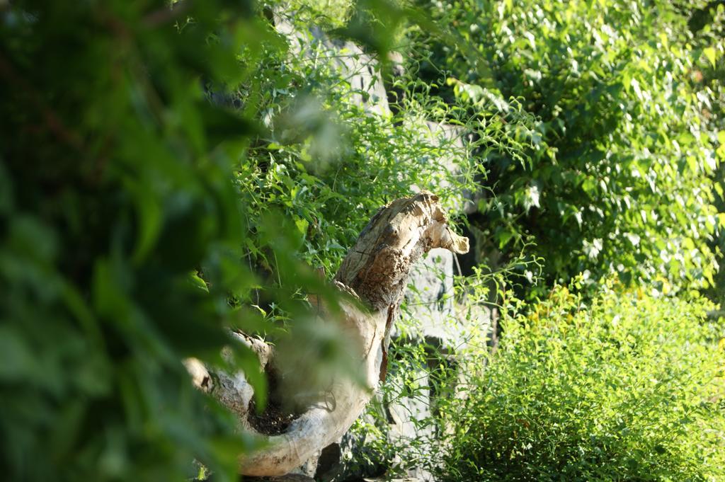 La Belle Aux Berges Bed & Breakfast Saint-Denis-sur-Richelieu ภายนอก รูปภาพ