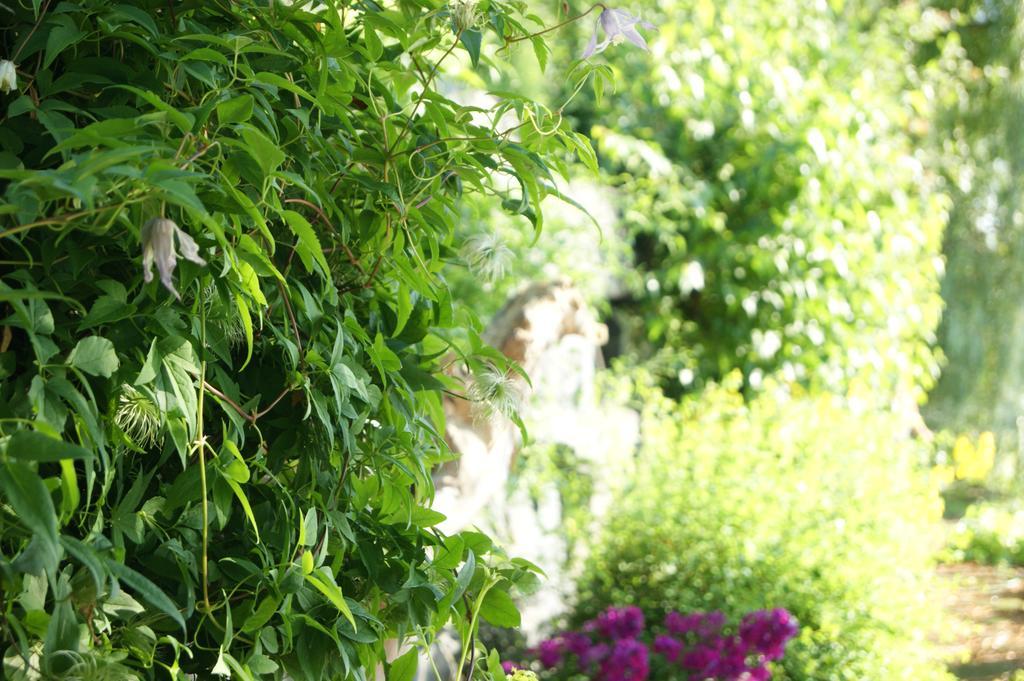 La Belle Aux Berges Bed & Breakfast Saint-Denis-sur-Richelieu ภายนอก รูปภาพ