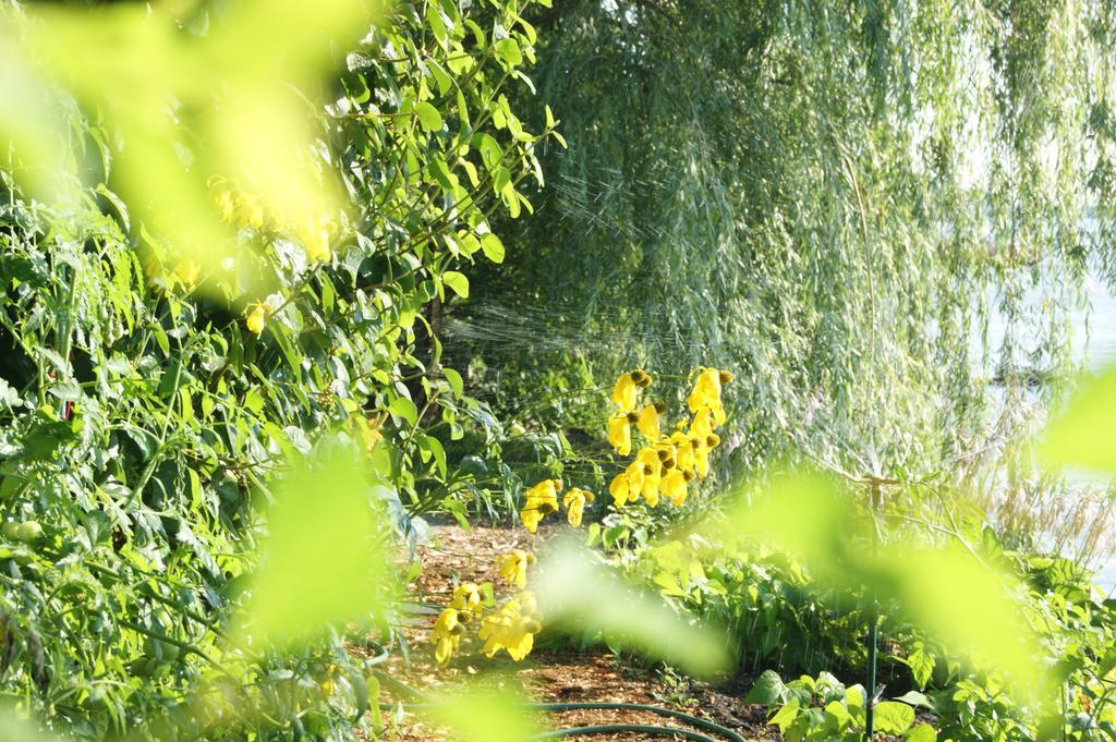 La Belle Aux Berges Bed & Breakfast Saint-Denis-sur-Richelieu ภายนอก รูปภาพ