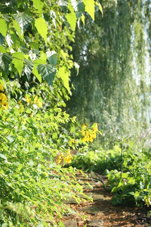 La Belle Aux Berges Bed & Breakfast Saint-Denis-sur-Richelieu ภายนอก รูปภาพ